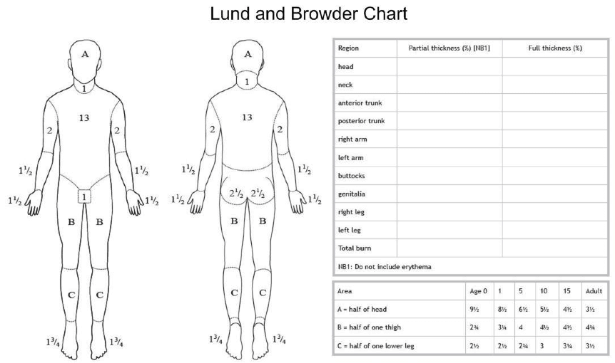 Lund & Browder
